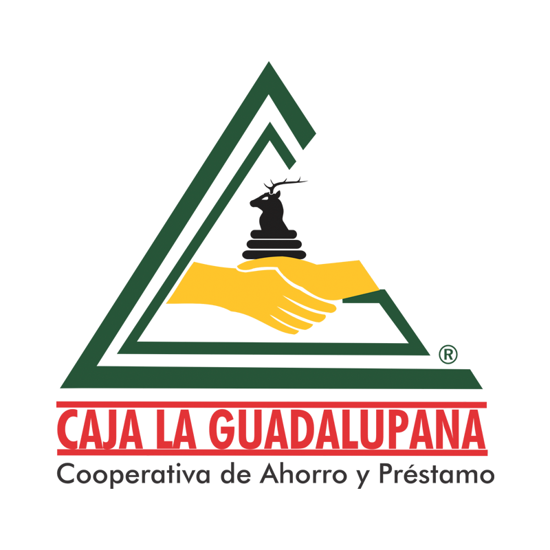 Caja Guadalupana